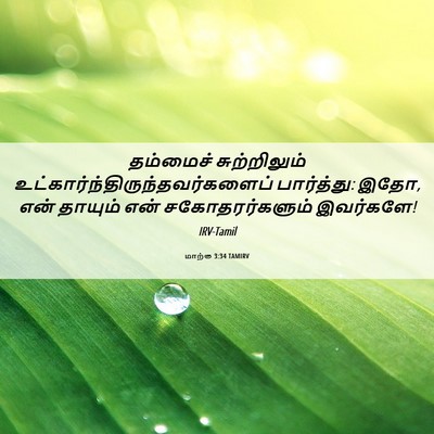 Picture 06 - மாற்கு 3:34 TAMIRV - தம்மைச் - Bible Verse Picture