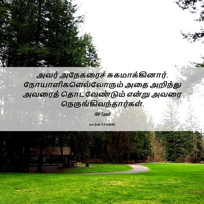 Picture 06 - மாற்கு 3:9 TAMIRV - அவர் அநேகரைச் - Bible Verse Picture