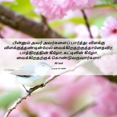Picture 06 - மாற்கு 4:21 TAMIRV - பின்னும் அவர் - Bible Verse Picture
