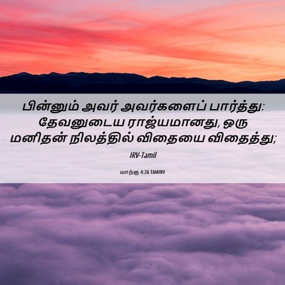 Picture 06 - மாற்கு 4:26 TAMIRV - பின்னும் அவர் - Bible Verse Picture