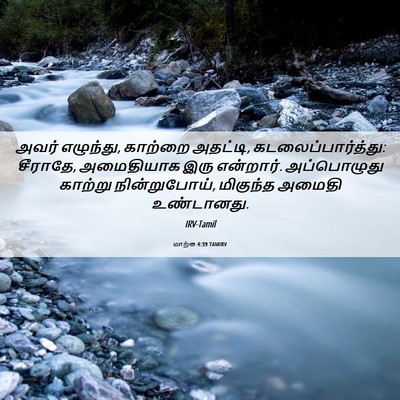 Picture 06 - மாற்கு 4:39 TAMIRV - அவர் எழுந்து, - Bible Verse Picture