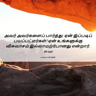 Picture 06 - மாற்கு 4:40 TAMIRV - அவர் அவர்களைப் - Bible Verse Picture