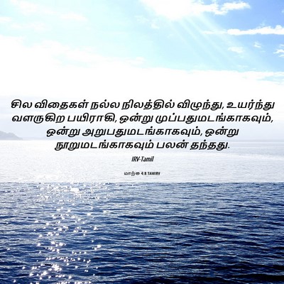 Picture 06 - மாற்கு 4:8 TAMIRV - சில விதைகள் நல்ல - Bible Verse Picture