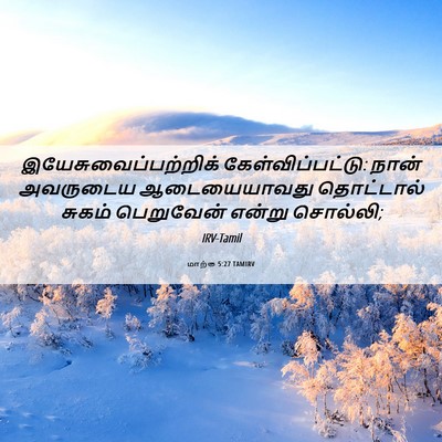 Picture 06 - மாற்கு 5:27 TAMIRV - இயேசுவைப்பற்றிக் - Bible Verse Picture