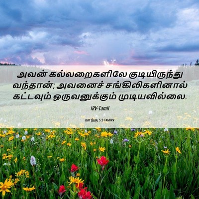 Picture 06 - மாற்கு 5:3 TAMIRV - அவன் கல்லறைகளிலே - Bible Verse Picture