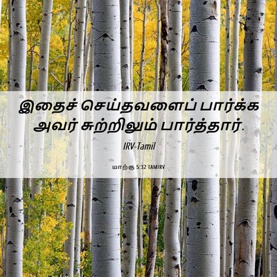 Picture 06 - மாற்கு 5:32 TAMIRV - இதைச் செய்தவளைப் - Bible Verse Picture