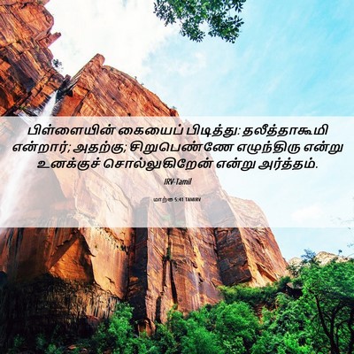 Picture 06 - மாற்கு 5:41 TAMIRV - பிள்ளையின் கையைப் - Bible Verse Picture