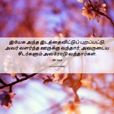 Picture 06 - மாற்கு 6:1 TAMIRV - இயேசு அந்த - Bible Verse Picture