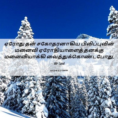 Picture 06 - மாற்கு 6:17 TAMIRV - ஏரோது தன் - Bible Verse Picture
