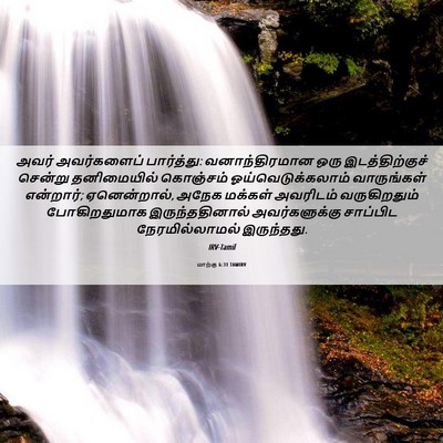 Picture 06 - மாற்கு 6:31 TAMIRV - அவர் அவர்களைப் - Bible Verse Picture