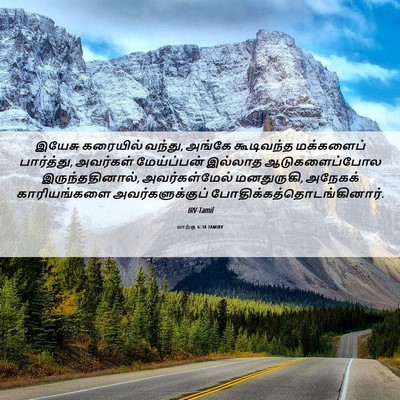 Picture 06 - மாற்கு 6:34 TAMIRV - இயேசு கரையில் - Bible Verse Picture