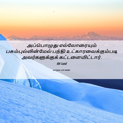 Picture 06 - மாற்கு 6:39 TAMIRV - அப்பொழுது - Bible Verse Picture