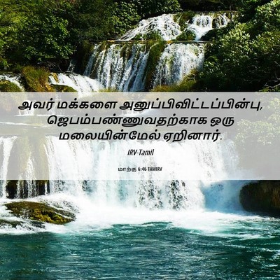 Picture 06 - மாற்கு 6:46 TAMIRV - அவர் மக்களை - Bible Verse Picture