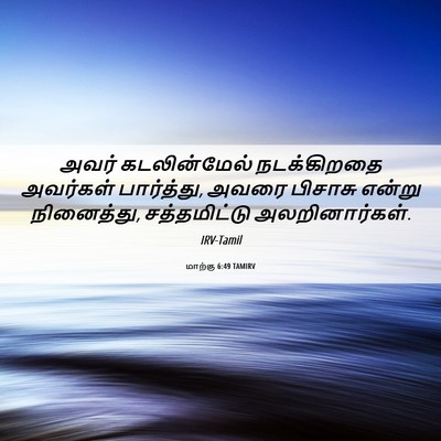 Picture 06 - மாற்கு 6:49 TAMIRV - அவர் கடலின்மேல் - Bible Verse Picture