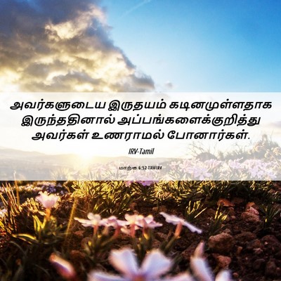 Picture 06 - மாற்கு 6:52 TAMIRV - அவர்களுடைய - Bible Verse Picture