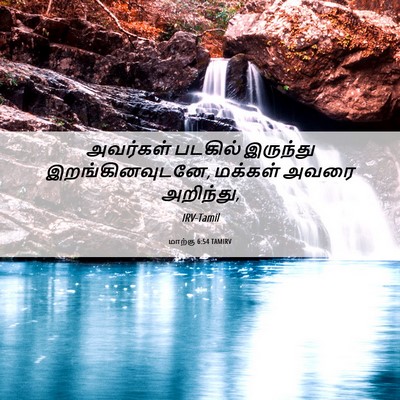 Picture 06 - மாற்கு 6:54 TAMIRV - அவர்கள் படகில் - Bible Verse Picture