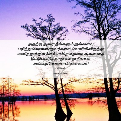 Picture 06 - மாற்கு 7:18 TAMIRV - அதற்கு அவர்: - Bible Verse Picture