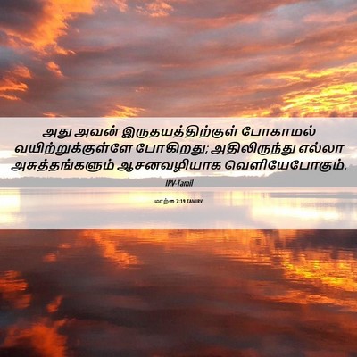 Picture 06 - மாற்கு 7:19 TAMIRV - அது அவன் - Bible Verse Picture