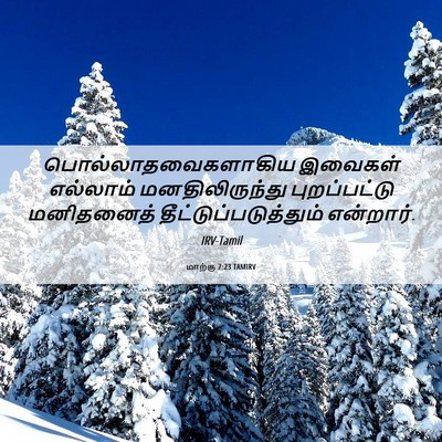 Picture 06 - மாற்கு 7:23 TAMIRV - பொல்லாதவைகளாகிய - Bible Verse Picture