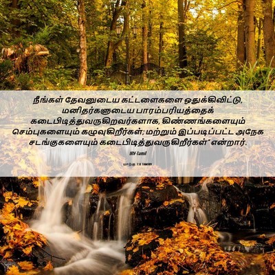 Picture 06 - மாற்கு 7:8 TAMIRV - நீங்கள் தேவனுடைய - Bible Verse Picture