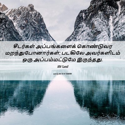 Picture 06 - மாற்கு 8:14 TAMIRV - சீடர்கள் - Bible Verse Picture