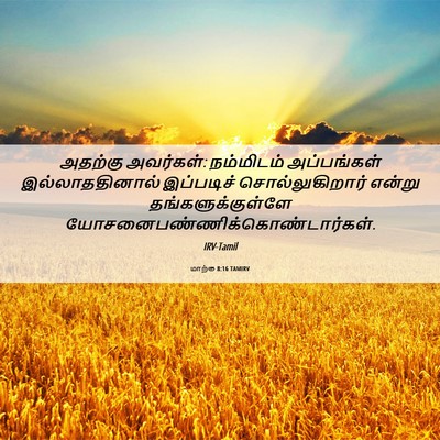 Picture 06 - மாற்கு 8:16 TAMIRV - அதற்கு அவர்கள்: - Bible Verse Picture