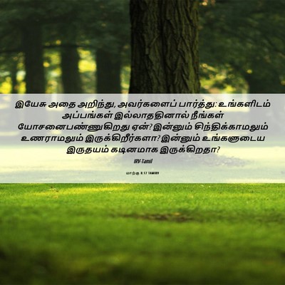 Picture 06 - மாற்கு 8:17 TAMIRV - இயேசு அதை அறிந்து, - Bible Verse Picture