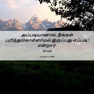 Picture 06 - மாற்கு 8:21 TAMIRV - அப்படியானால், - Bible Verse Picture