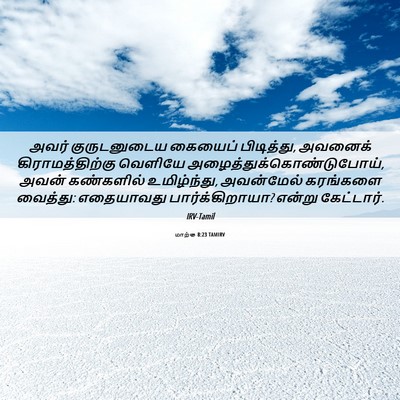 Picture 06 - மாற்கு 8:23 TAMIRV - அவர் குருடனுடைய - Bible Verse Picture