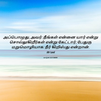 Picture 06 - மாற்கு 8:29 TAMIRV - அப்பொழுது, அவர்: - Bible Verse Picture