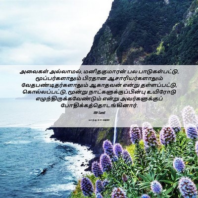 Picture 06 - மாற்கு 8:31 TAMIRV - அவைகள் அல்லாமல், - Bible Verse Picture