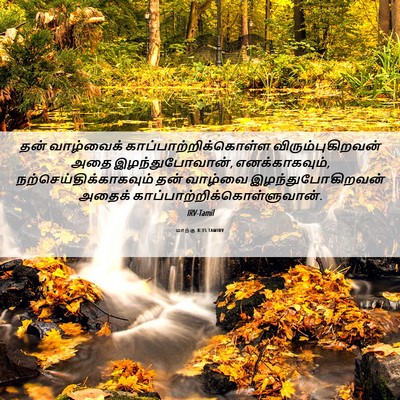 Picture 06 - மாற்கு 8:35 TAMIRV - தன் வாழ்வைக் - Bible Verse Picture