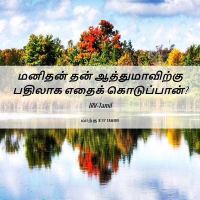 Picture 06 - மாற்கு 8:37 TAMIRV - மனிதன் தன் - Bible Verse Picture