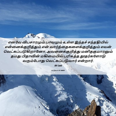 Picture 06 - மாற்கு 8:38 TAMIRV - எனவே விபசாரமும் - Bible Verse Picture