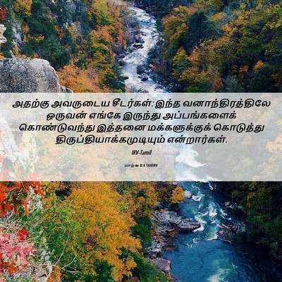Picture 06 - மாற்கு 8:4 TAMIRV - அதற்கு அவருடைய - Bible Verse Picture