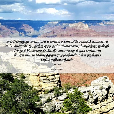 Picture 06 - மாற்கு 8:6 TAMIRV - அப்பொழுது அவர் - Bible Verse Picture