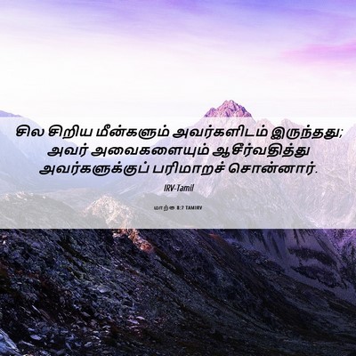 Picture 06 - மாற்கு 8:7 TAMIRV - சில சிறிய - Bible Verse Picture