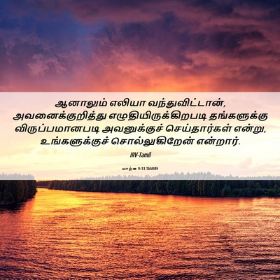 Picture 06 - மாற்கு 9:13 TAMIRV - ஆனாலும் எலியா - Bible Verse Picture