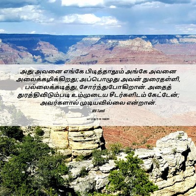 Picture 06 - மாற்கு 9:18 TAMIRV - அது அவனை எங்கே - Bible Verse Picture