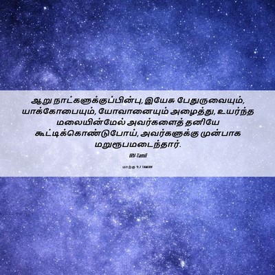 Picture 06 - மாற்கு 9:2 TAMIRV - ஆறு - Bible Verse Picture