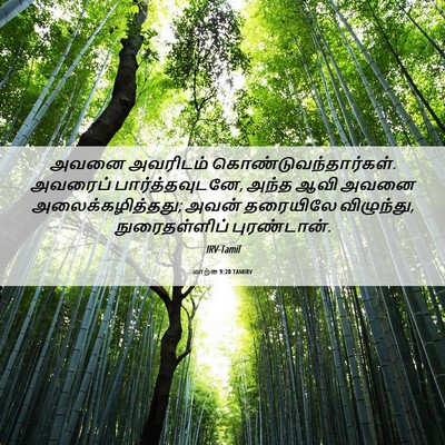 Picture 06 - மாற்கு 9:20 TAMIRV - அவனை அவரிடம் - Bible Verse Picture