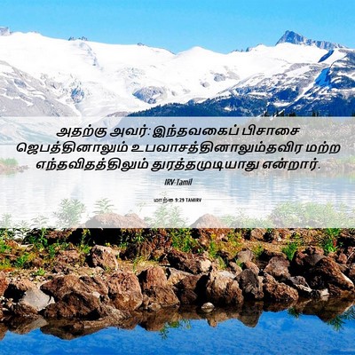 Picture 06 - மாற்கு 9:29 TAMIRV - அதற்கு அவர்: - Bible Verse Picture