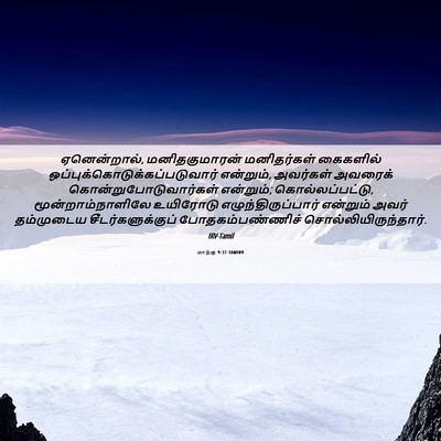 Picture 06 - மாற்கு 9:31 TAMIRV - ஏனென்றால், - Bible Verse Picture