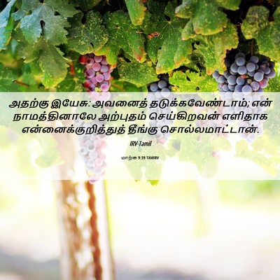 Picture 06 - மாற்கு 9:39 TAMIRV - அதற்கு இயேசு: - Bible Verse Picture