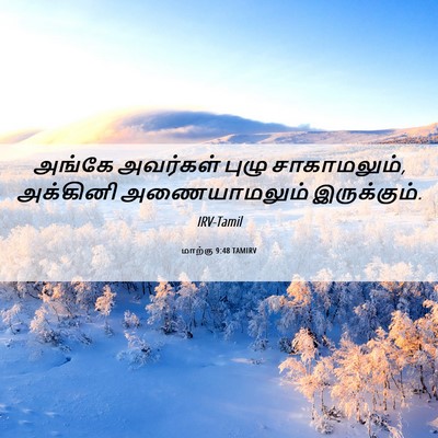 Picture 06 - மாற்கு 9:48 TAMIRV - அங்கே அவர்கள் - Bible Verse Picture