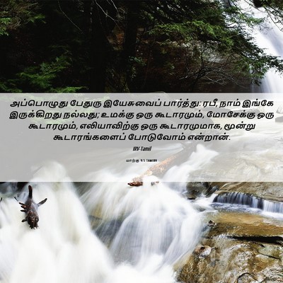 Picture 06 - மாற்கு 9:5 TAMIRV - அப்பொழுது பேதுரு - Bible Verse Picture