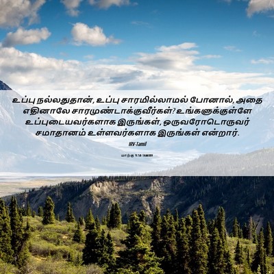 Picture 06 - மாற்கு 9:50 TAMIRV - உப்பு நல்லதுதான், - Bible Verse Picture