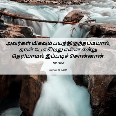 Picture 06 - மாற்கு 9:6 TAMIRV - அவர்கள் மிகவும் - Bible Verse Picture