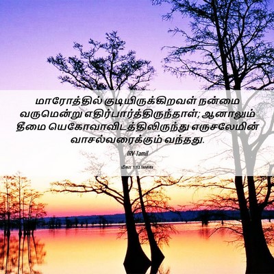 Picture 06 - மீகா 1:12 TAMIRV - மாரோத்தில் - Bible Verse Picture