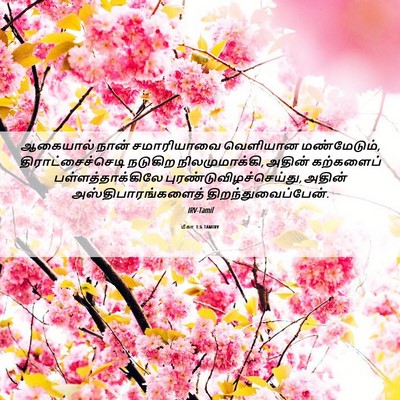 Picture 06 - மீகா 1:6 TAMIRV - ஆகையால் நான் - Bible Verse Picture